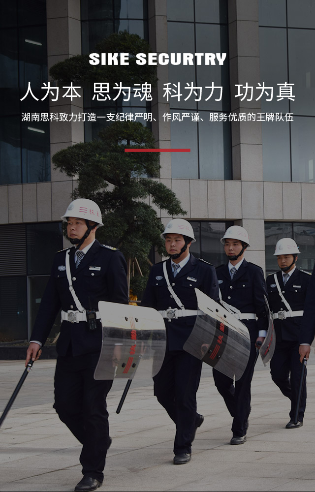 91视频APP黄色